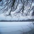 Winterblick von der Seestrasse (tn_100_4060.jpg) Zeesner See im Landkreis Dahme Spreewald